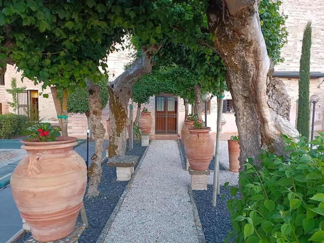 Degli Alessandri House Sassoferrato Экстерьер фото